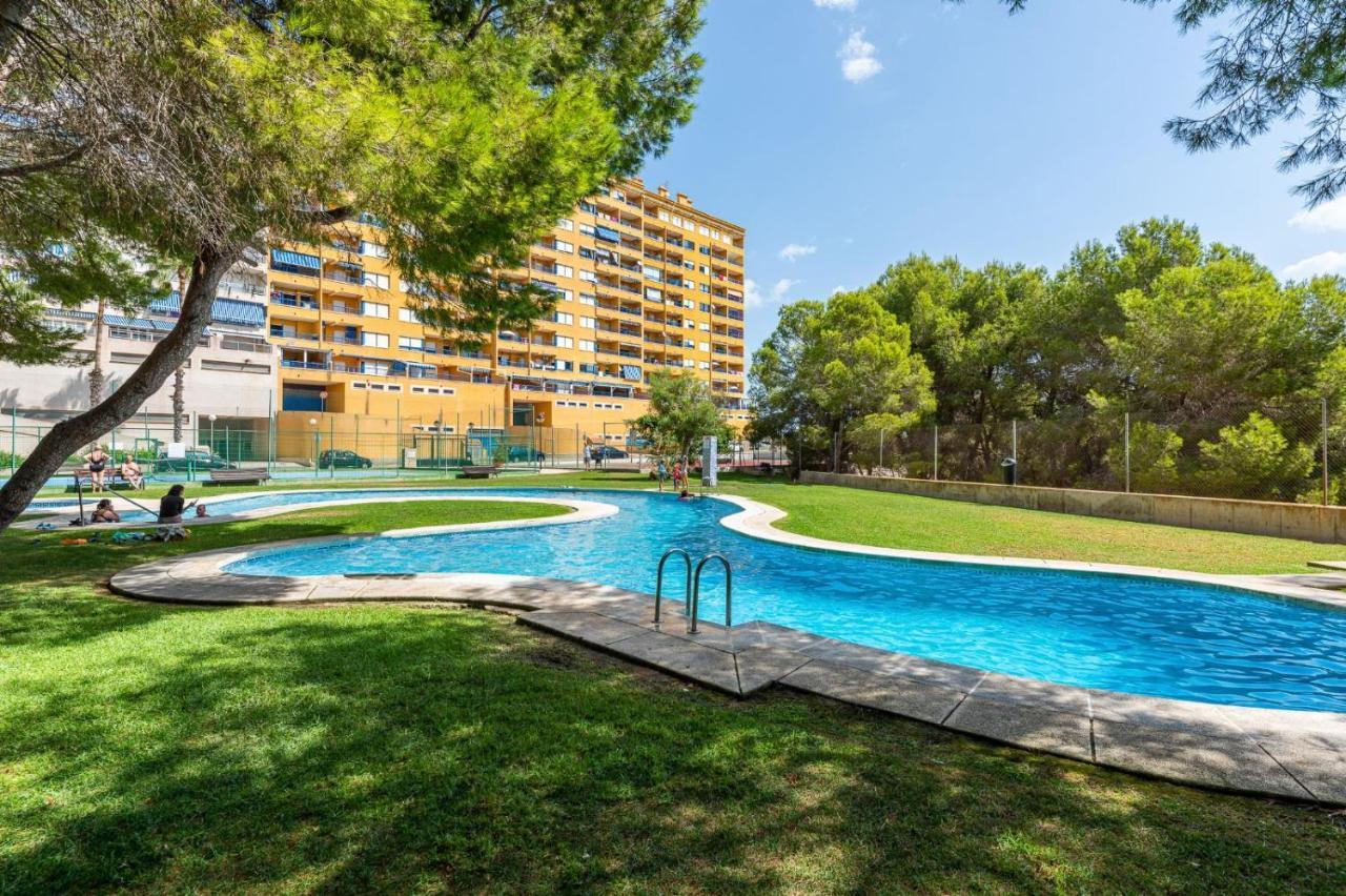 Apartament Summer Apartman Campoamor Kültér fotó