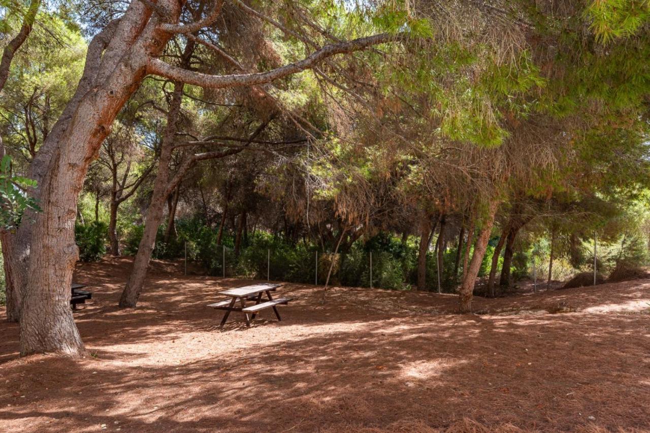 Apartament Summer Apartman Campoamor Kültér fotó